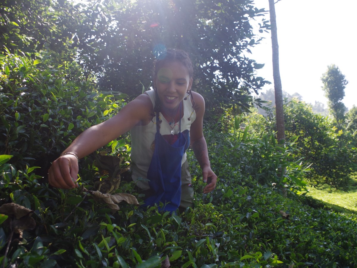 Tea, Tarot and Massage – Healing Body, Mind and&nbsp;Spirit